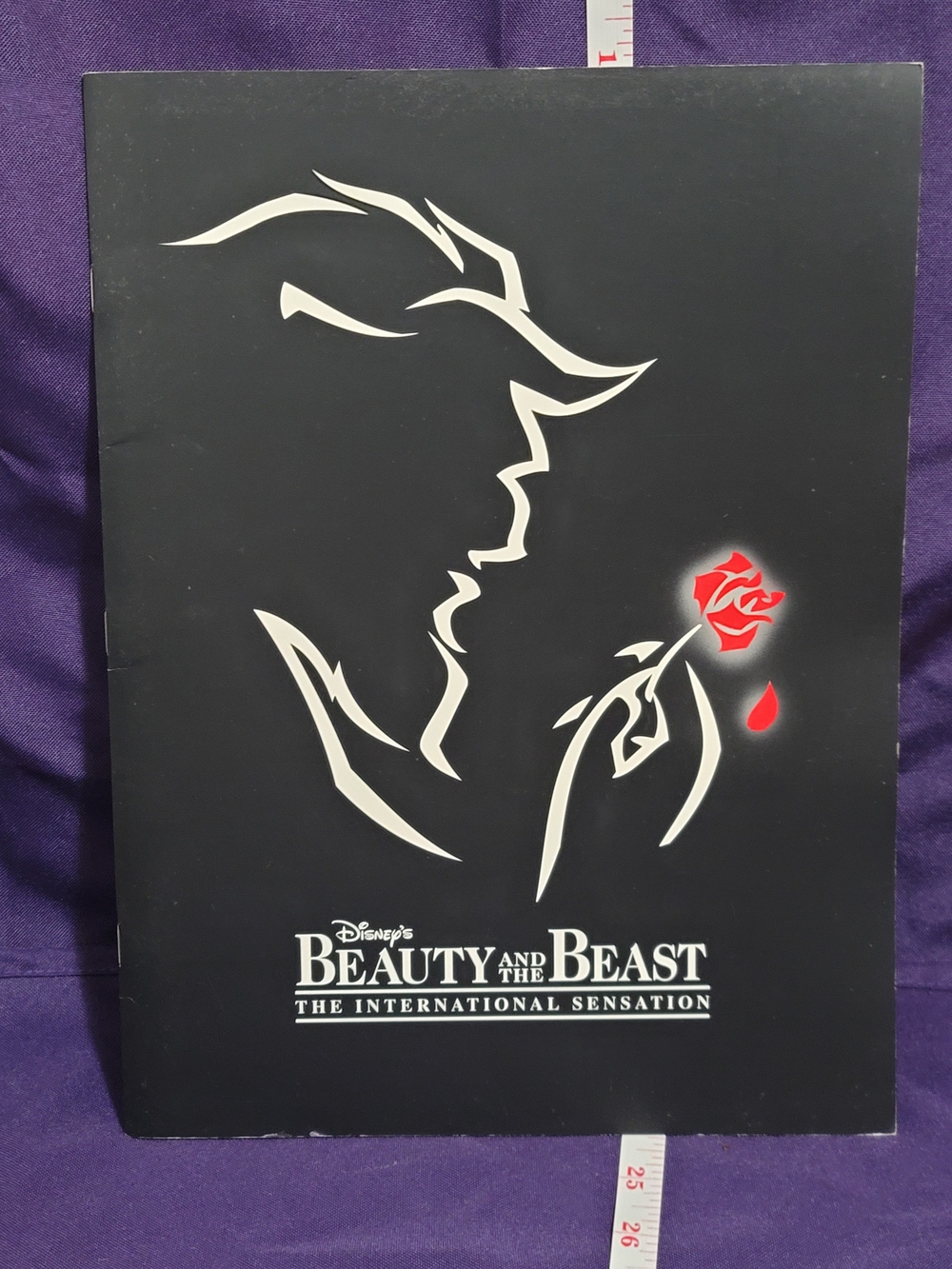Disney Beauty and the Beast Souvenier Book- Black with Red